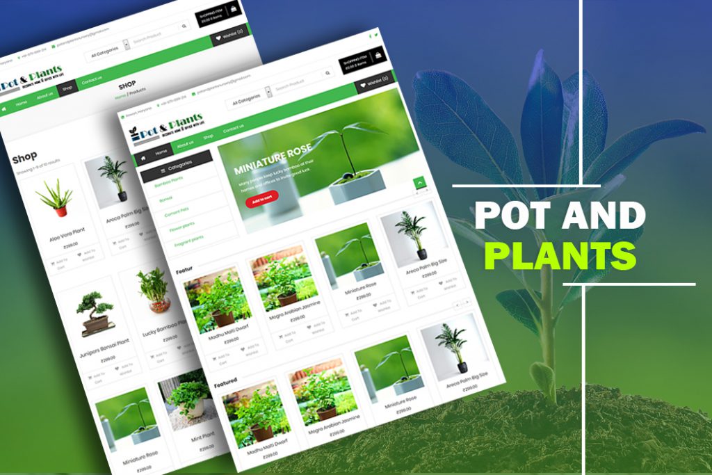 pot n plants